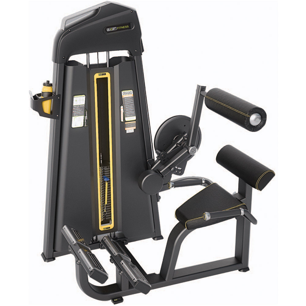 Abdominal / Back Extension Fitness Equipments / Gym Strength Machines