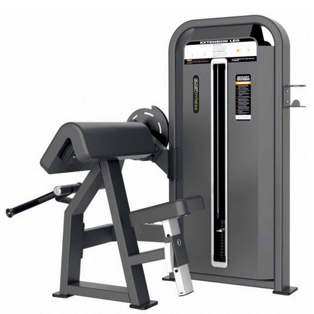 Camber Curl Fitness Equipments / Gym Strength Machines